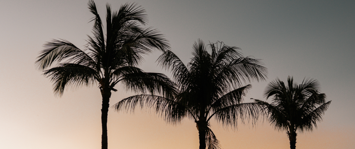 Ulu Cliff x Shonky Dunia-2